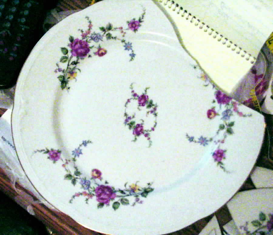 WLB38 Dinner Plate by Walbrzych-1