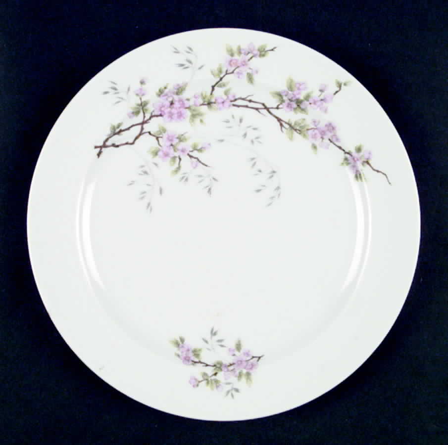WIG499 Salad Plate by Winterling - Bavaria-1