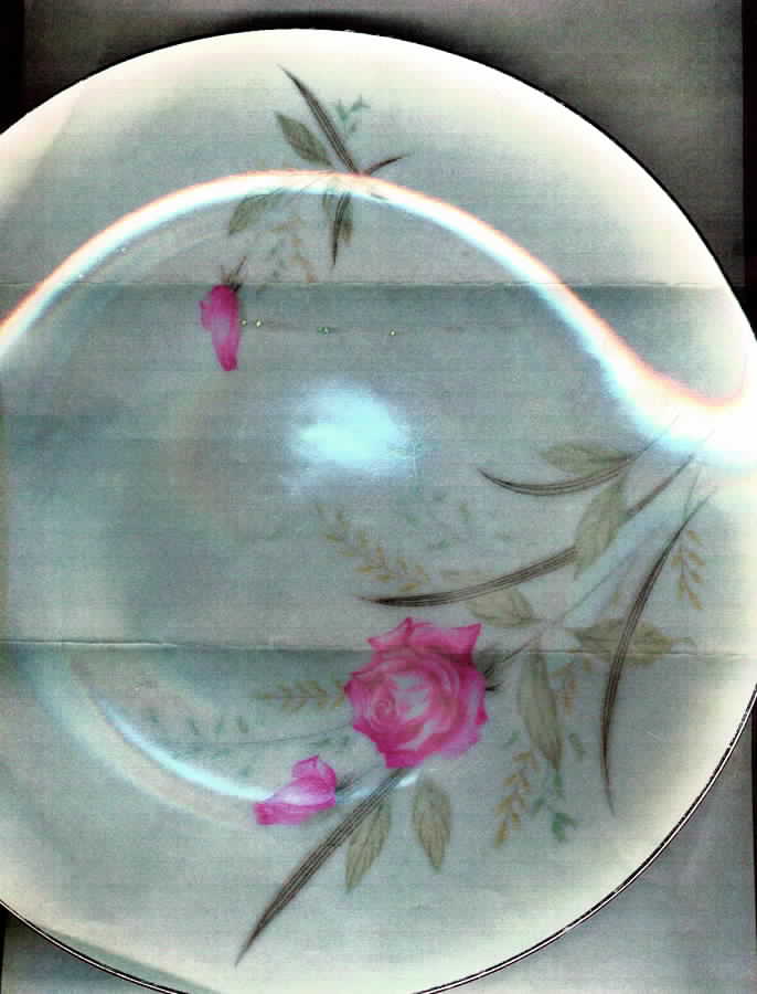 Living Rose Dinner Plate by Yada (Japan)-1