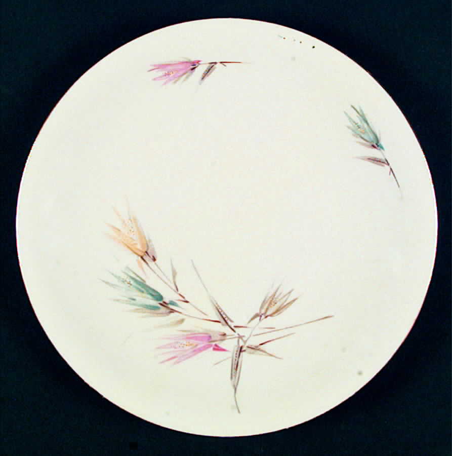 WIG527 Salad Plate by Winterling - Bavaria-1