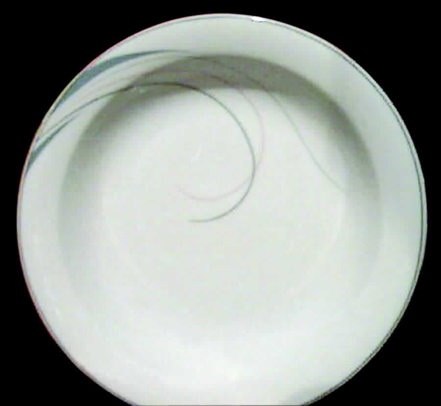 WIG528 Rim Cereal Bowl by Winterling - Bavaria-1