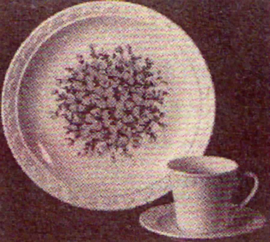 Garden Flat Cup & Saucer Set by Homer Laughlin -1