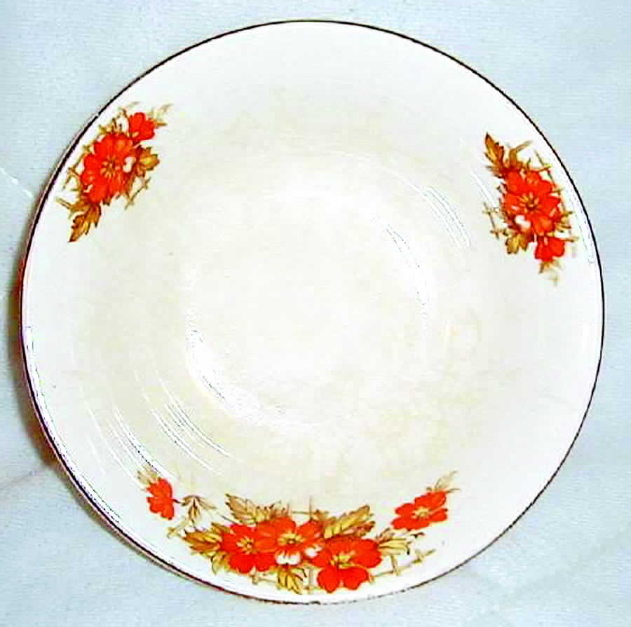 WIO6 Saucer by Winterton-1