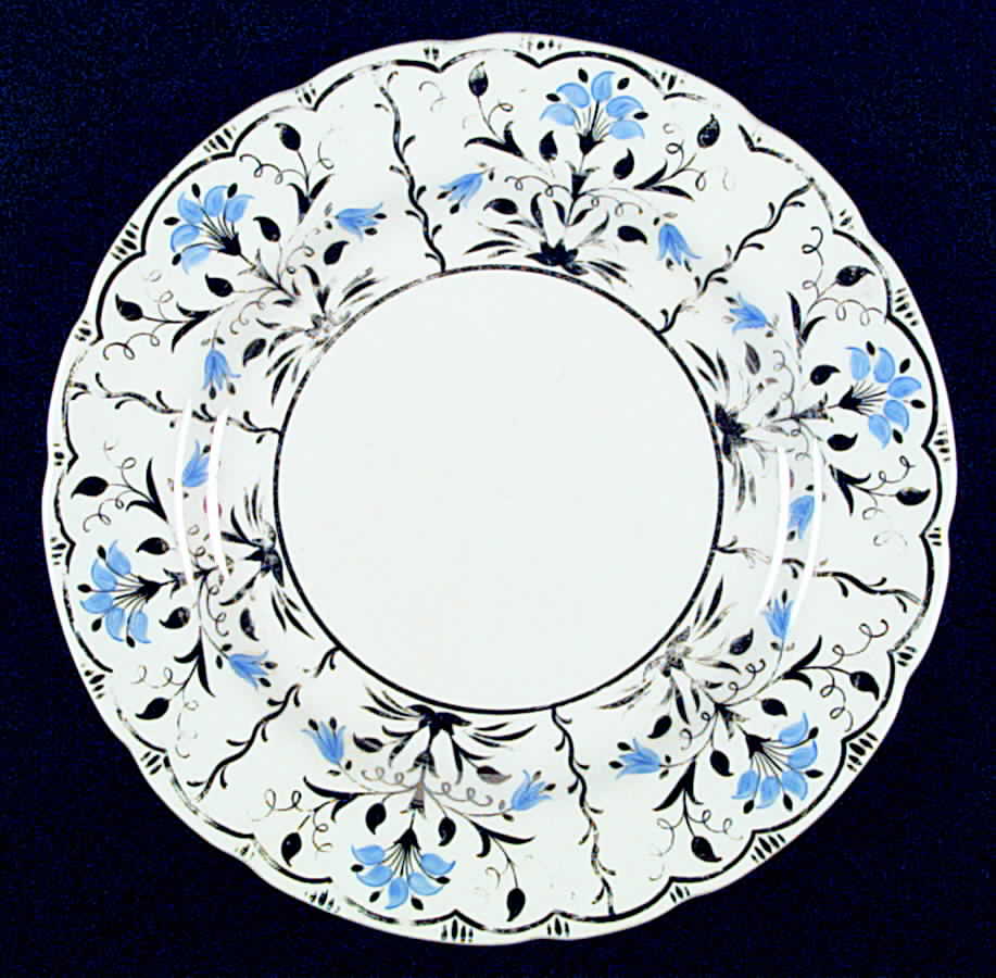 WH3112 Dinner Plate by Wedgwood-1