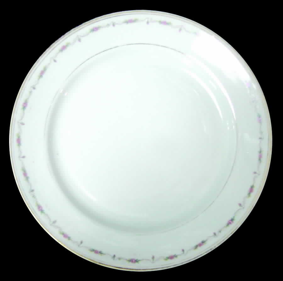 A9211 Dinner Plate by Warwick-1