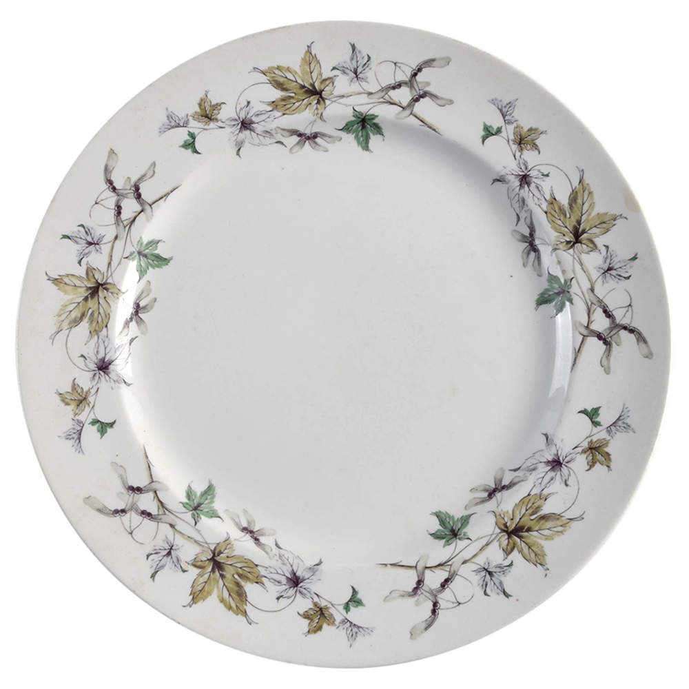 WW234 Dinner Plate by Wedgwood-1