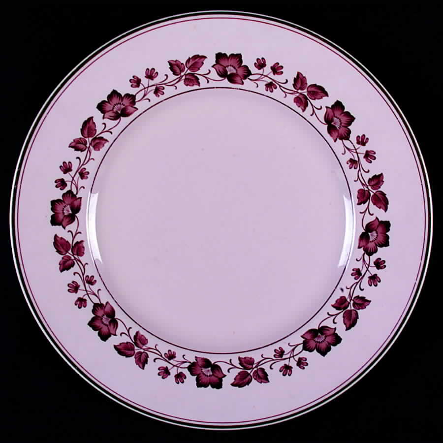 WW240 Dinner Plate by Wedgwood-1