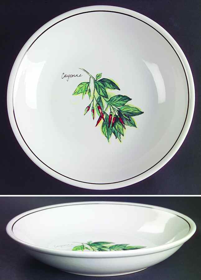 WSO24 9" Individual Pasta Bowl by Williams-Sonoma-1