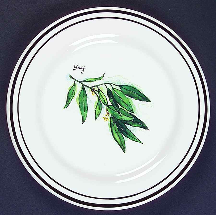 WSO24 Salad/Dessert Plate by Williams-Sonoma-1