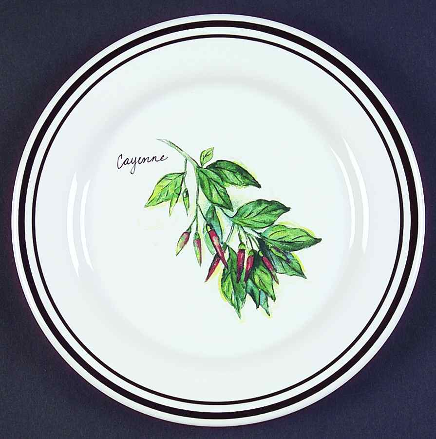 WSO24 Salad/Dessert Plate by Williams-Sonoma-1