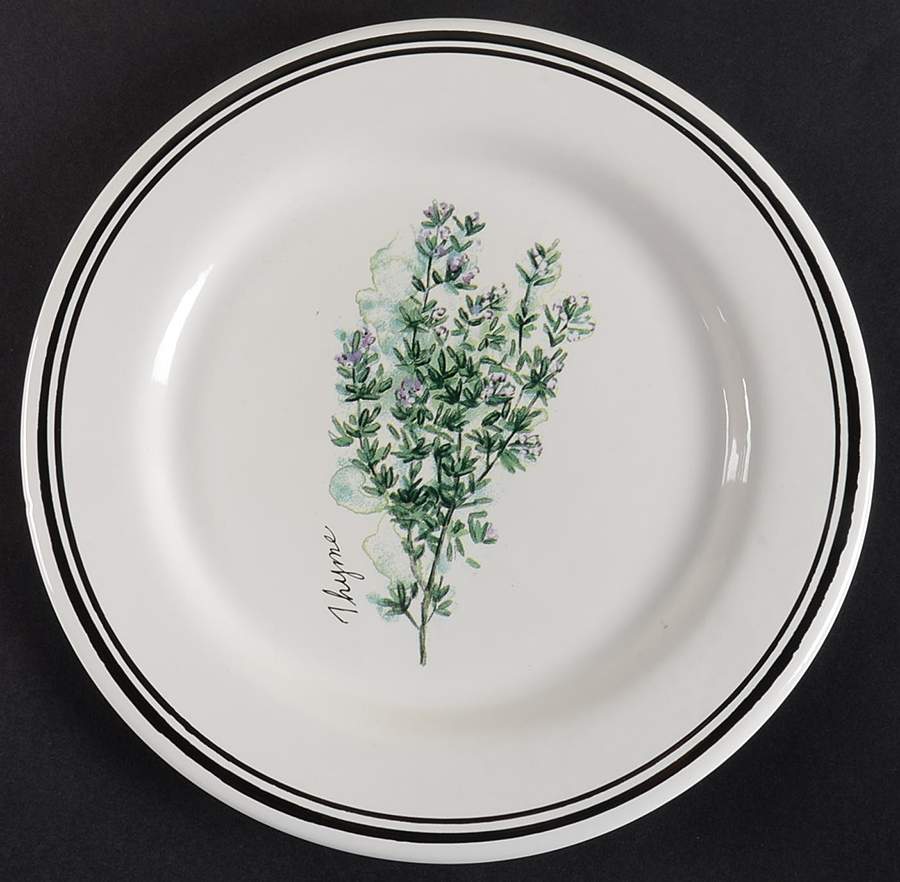 WSO24 Salad/Dessert Plate by Williams-Sonoma-1