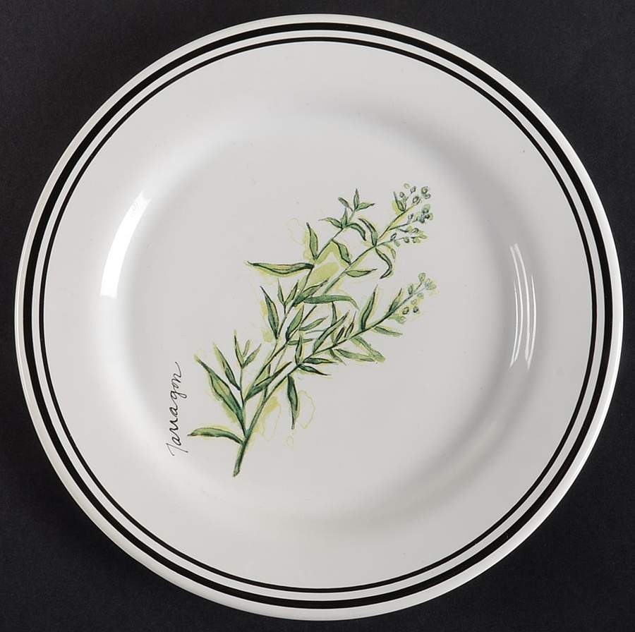 WSO24 Salad/Dessert Plate by Williams-Sonoma-1