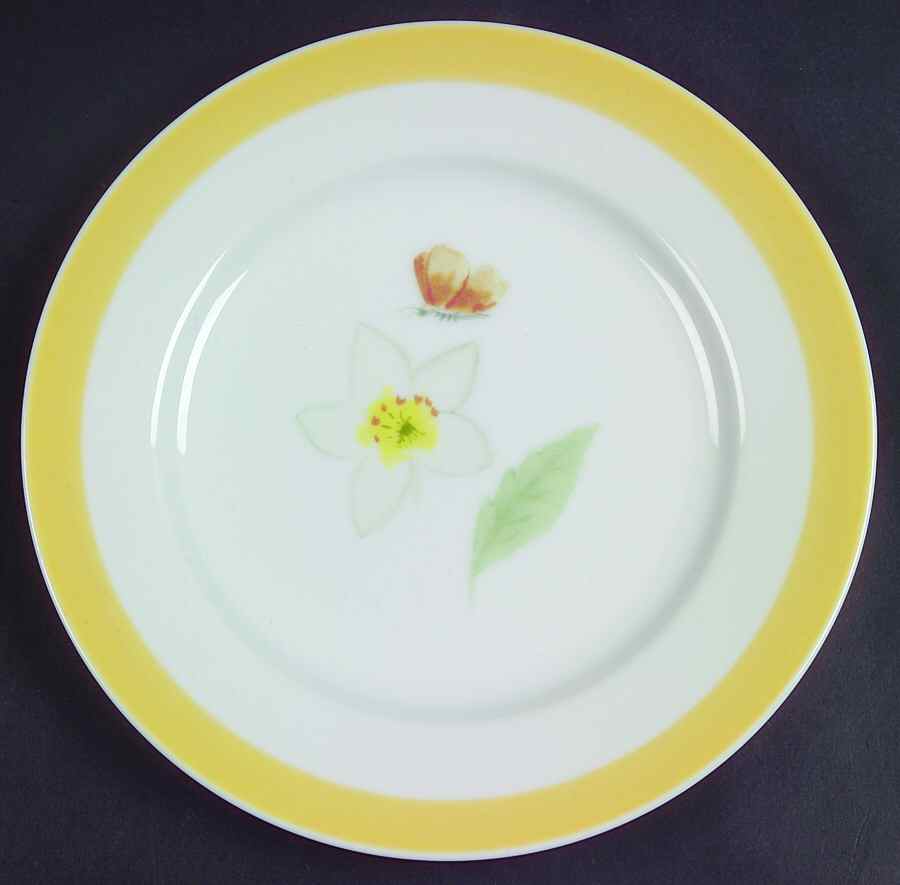 Summer Studies Salad Plate by Williams-Sonoma-1