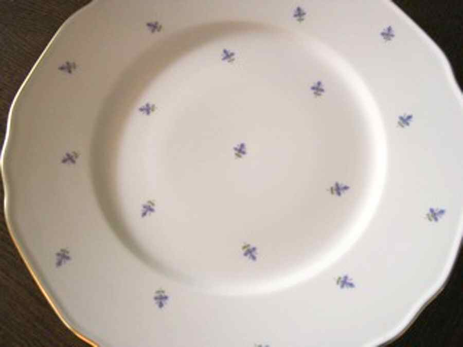 5040 Dinner Plate by Wiener Porzellan-1