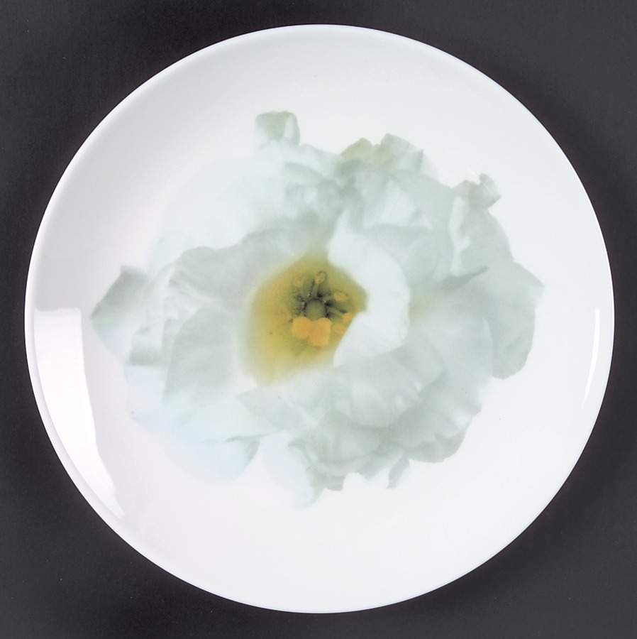 Bloomers Salad Plate by Wedgwood-1