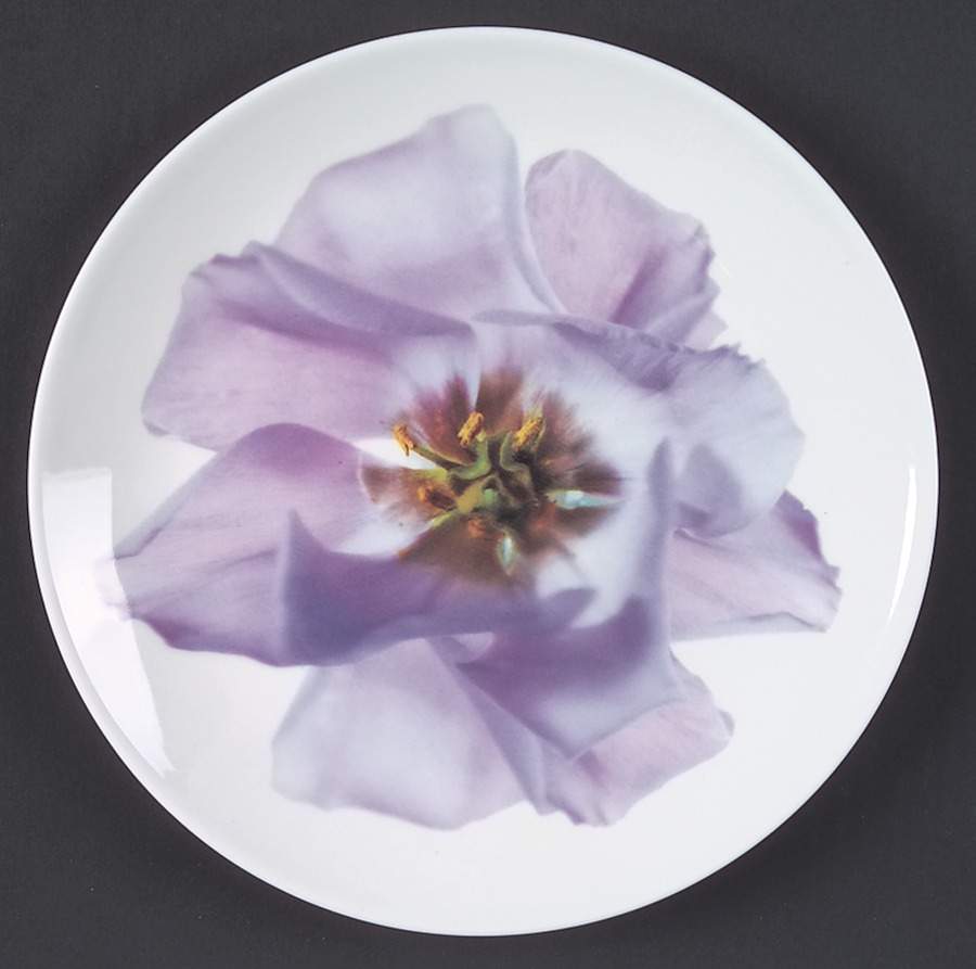Bloomers Salad Plate by Wedgwood-1
