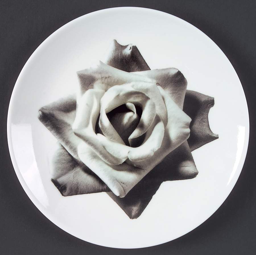 Bloomers Night and Day Salad Plate by Wedgwood-1