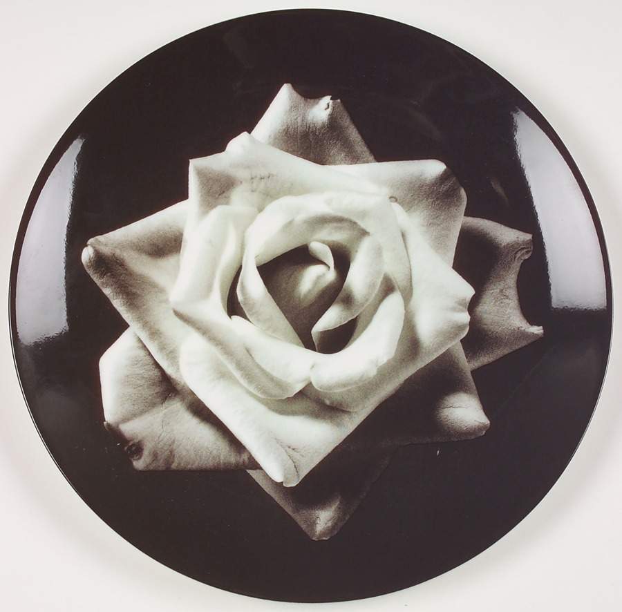 Bloomers Night and Day Salad Plate by Wedgwood-1
