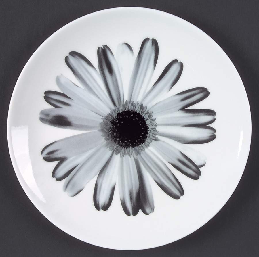 Bloomers Night and Day Salad Plate by Wedgwood-1