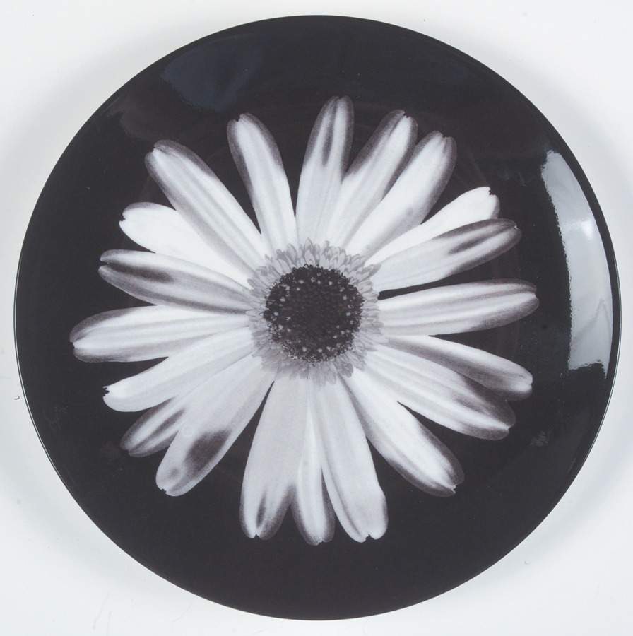 Bloomers Night and Day Salad Plate by Wedgwood-1