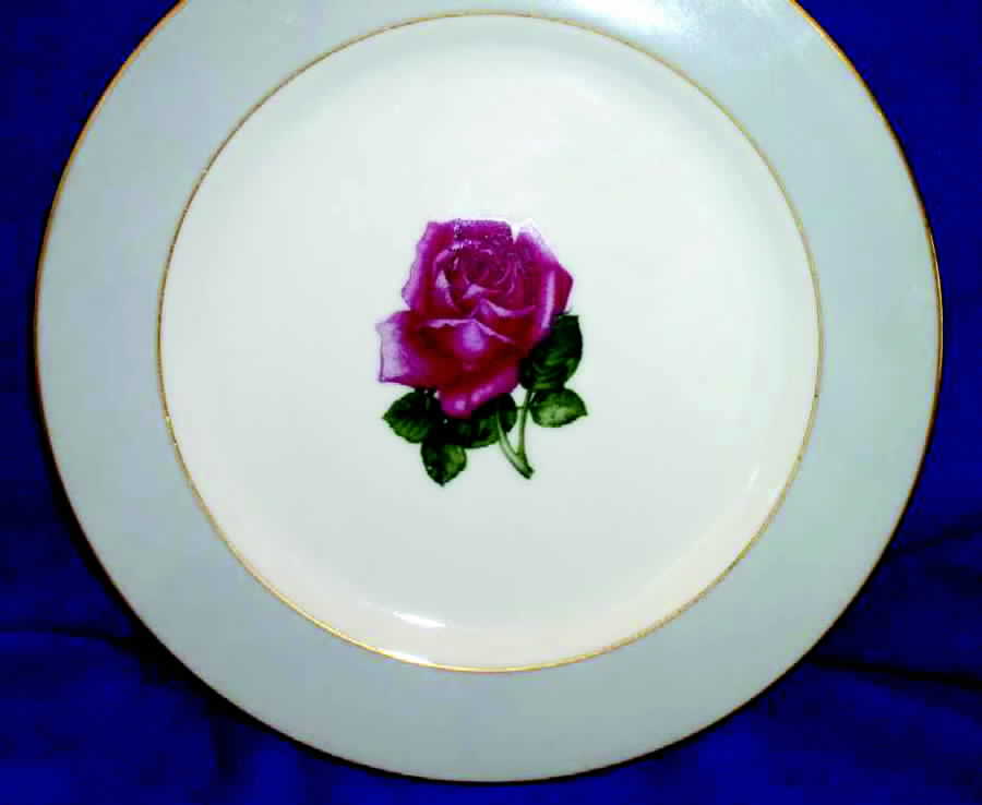 1005 Dinner Plate by Wako-1