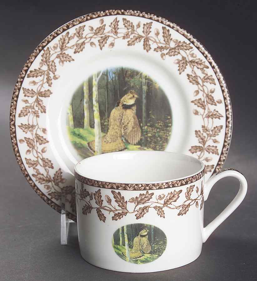 Wild Birds Flat Cup & Saucer Set by National Wildlife Federation-1