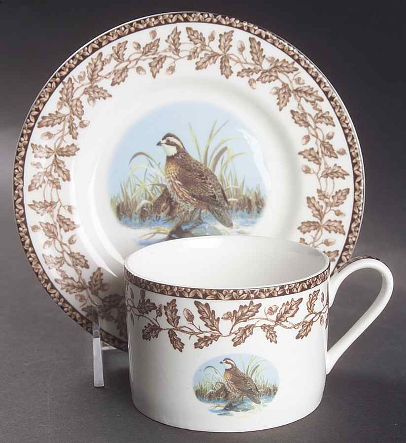 Wild Birds Flat Cup & Saucer Set by National Wildlife Federation-1