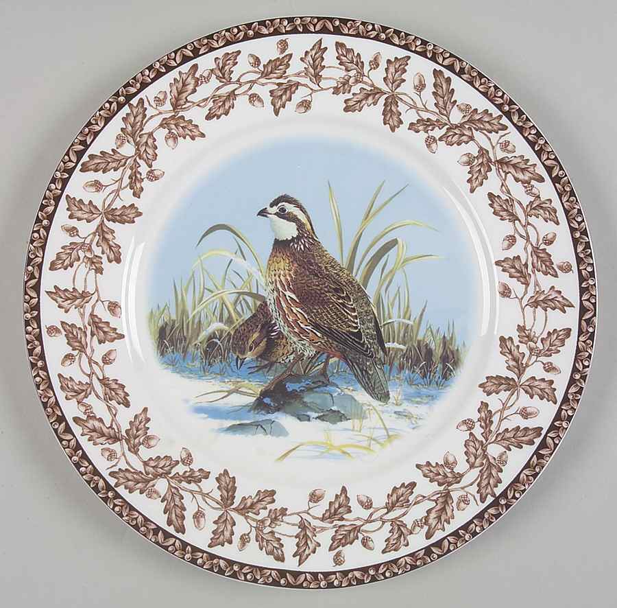 Wild Birds Dinner Plate by National Wildlife Federation-1