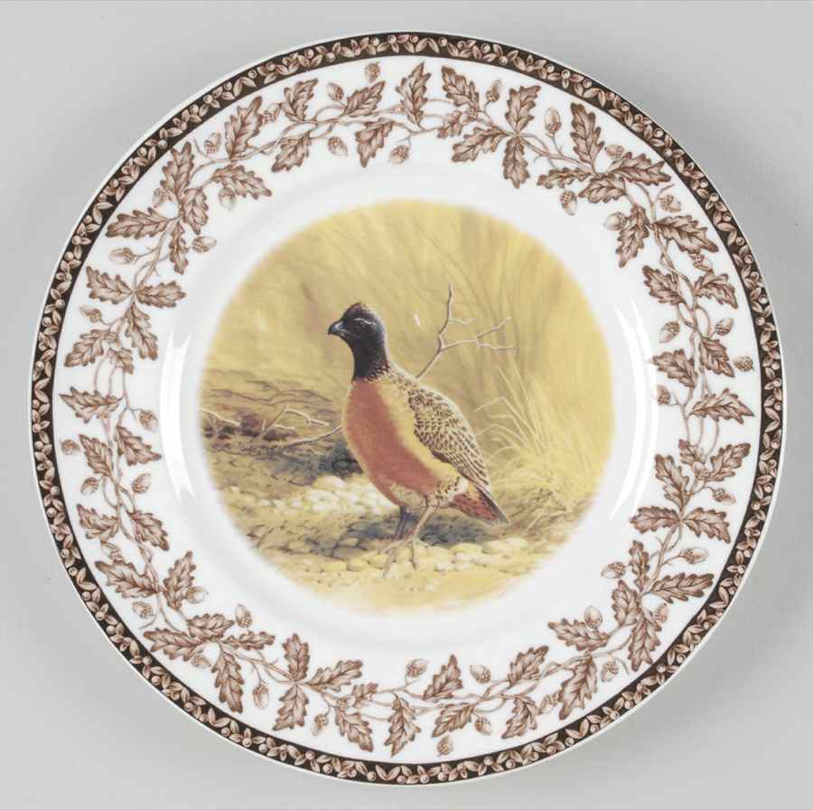 Wild Birds Salad Plate by National Wildlife Federation-1