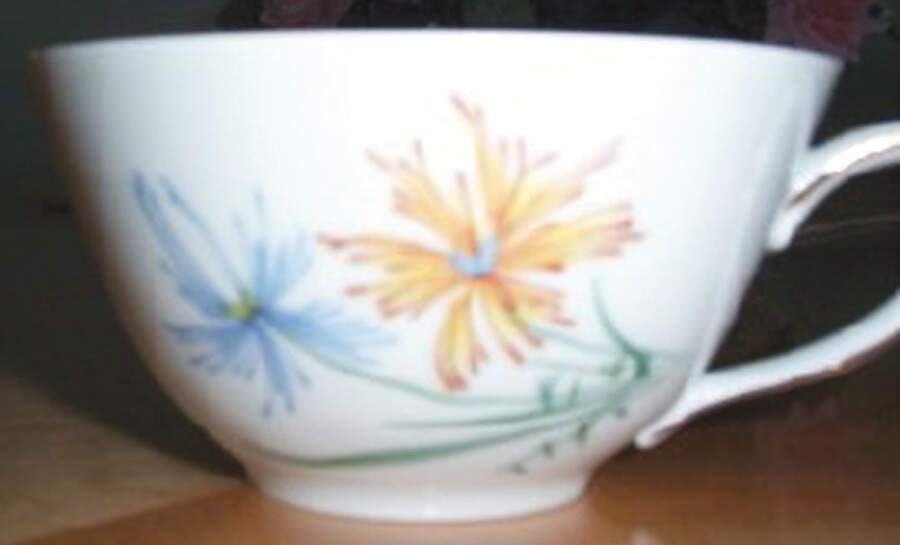 WIG610 Flat Cup by Winterling - Bavaria-1