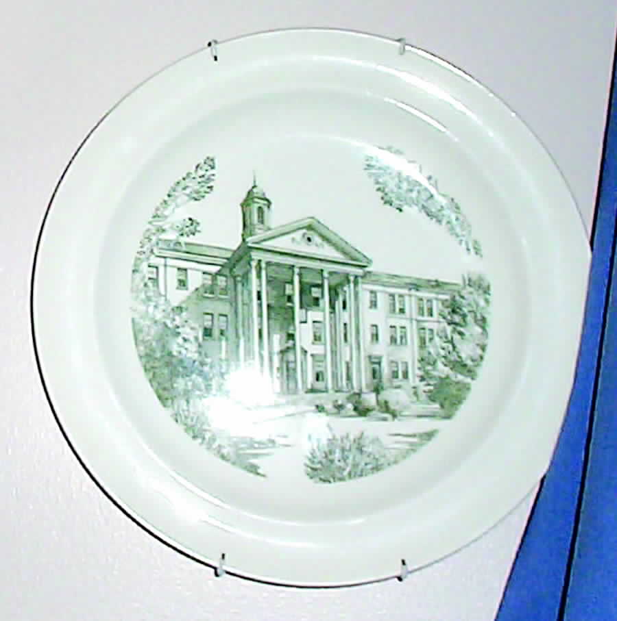 University of South Carolina Green Dinner Plate by Wedgwood-1