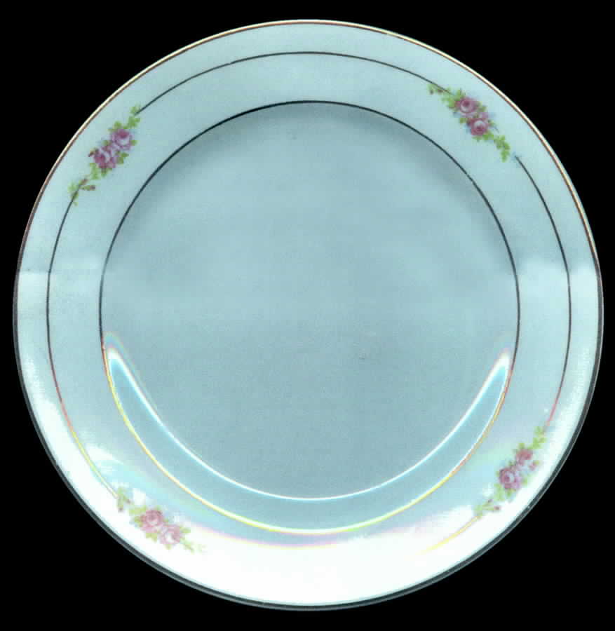 WAR123 Dinner Plate by Warwick-1