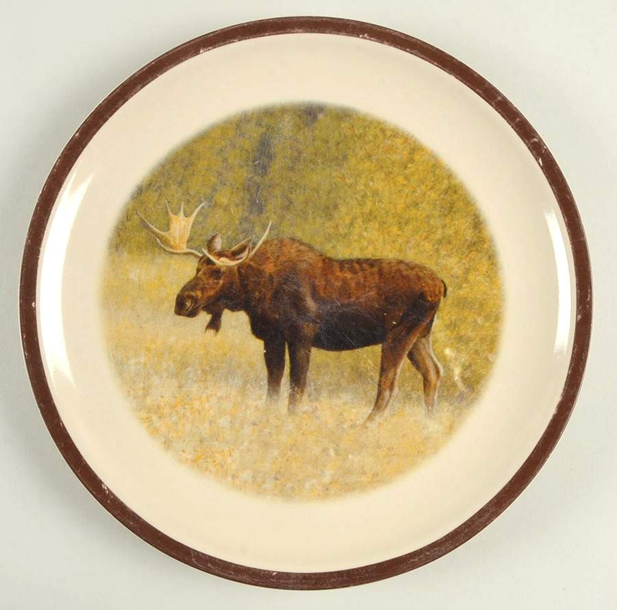 American Wilderness Collection Dinner Plate by National Wildlife Federation-1