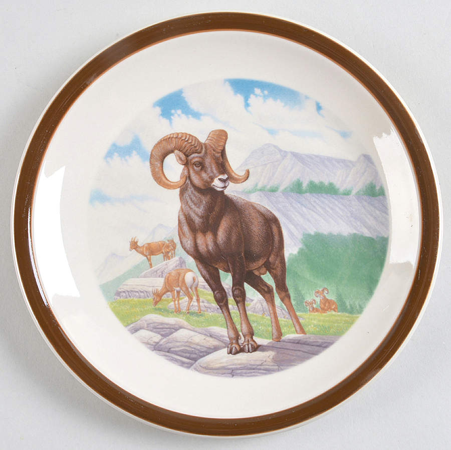 American Wilderness Collection Salad Plate by National Wildlife Federation-1