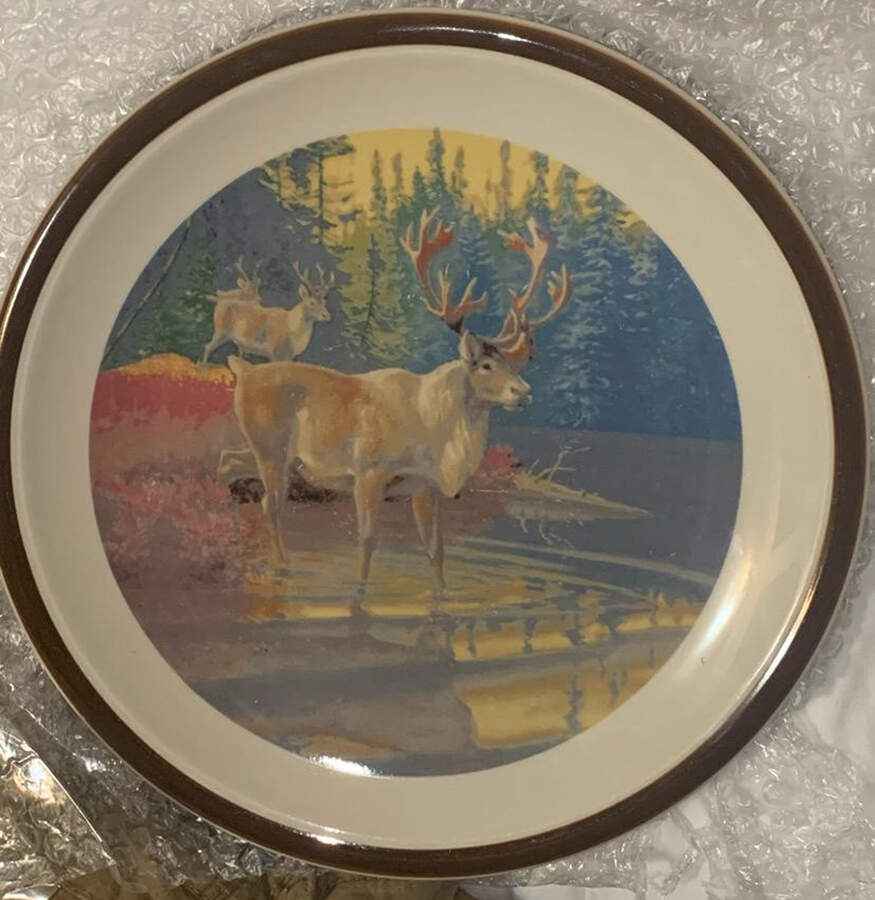 American Wilderness Collection Dinner Plate by National Wildlife Federation-1