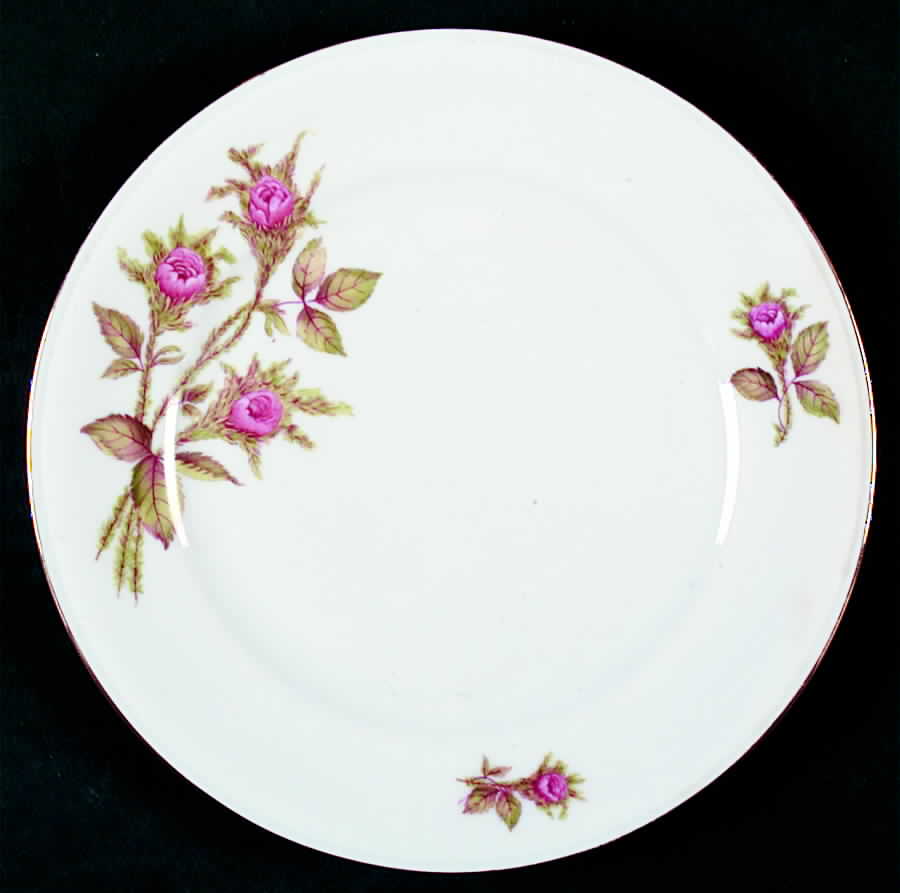 WIG626 Salad Plate by Winterling - Bavaria-1