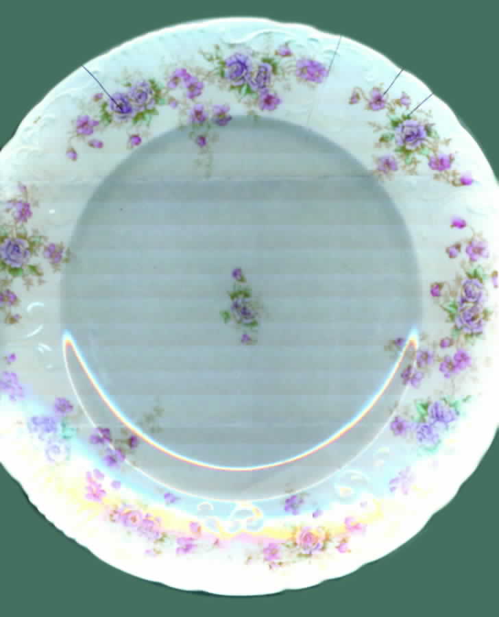 WAR126 Dinner Plate by Warwick-1