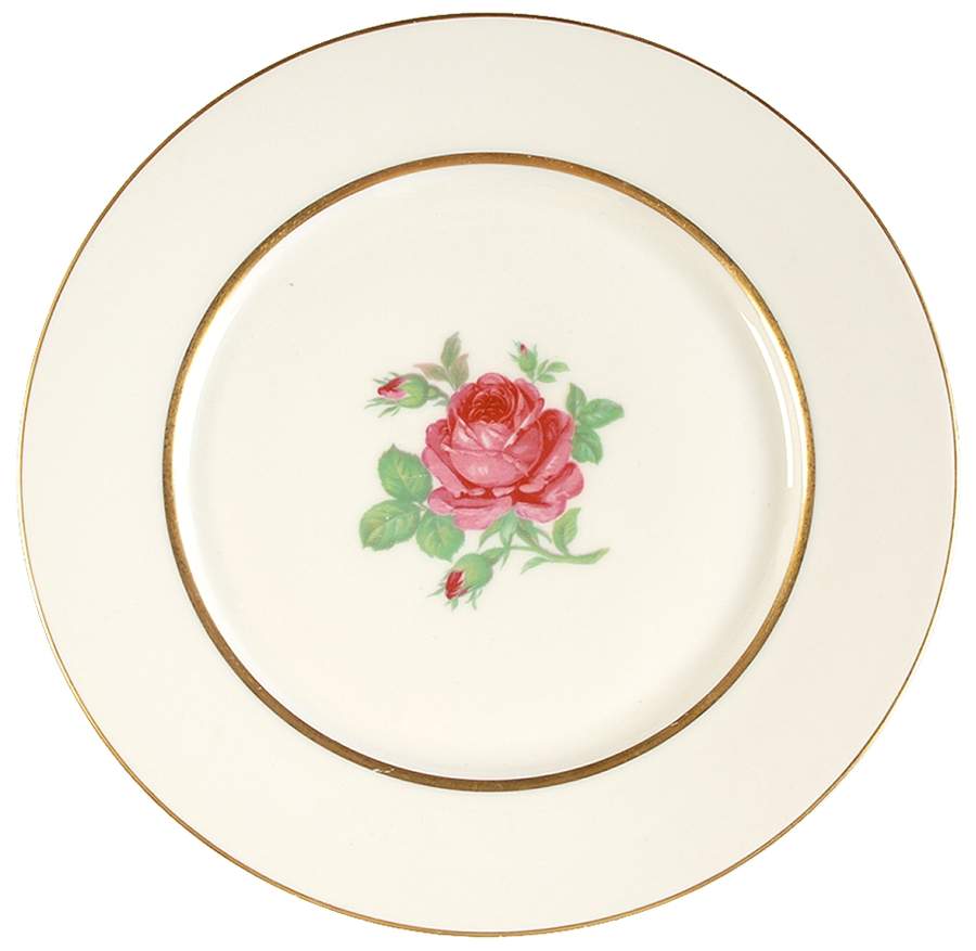 WAR127 Dinner Plate by Warwick-1