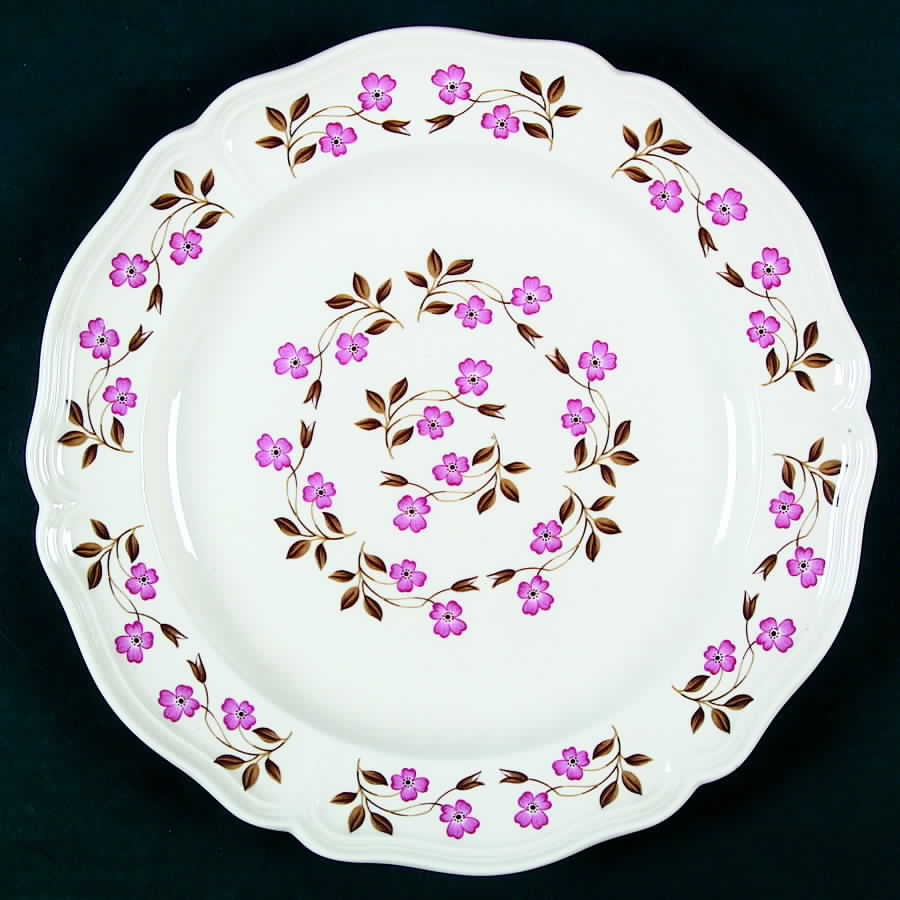 St. Moritz Dinner Plate by Wedgwood-1