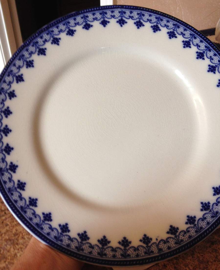 Savoy Dinner Plate by F Winkle-1