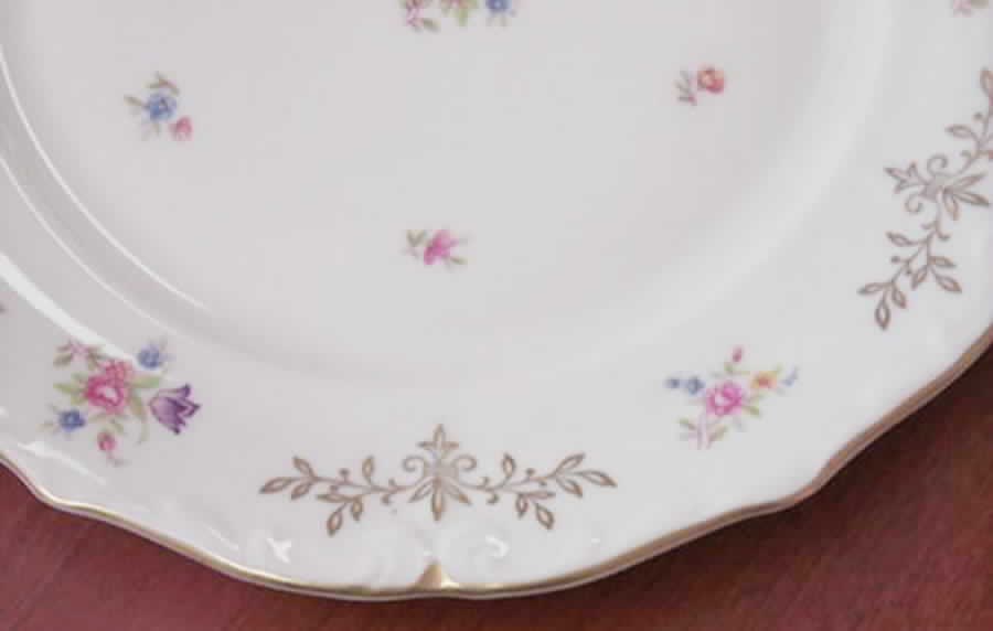 WIG635 Dinner Plate by Winterling - Bavaria-1