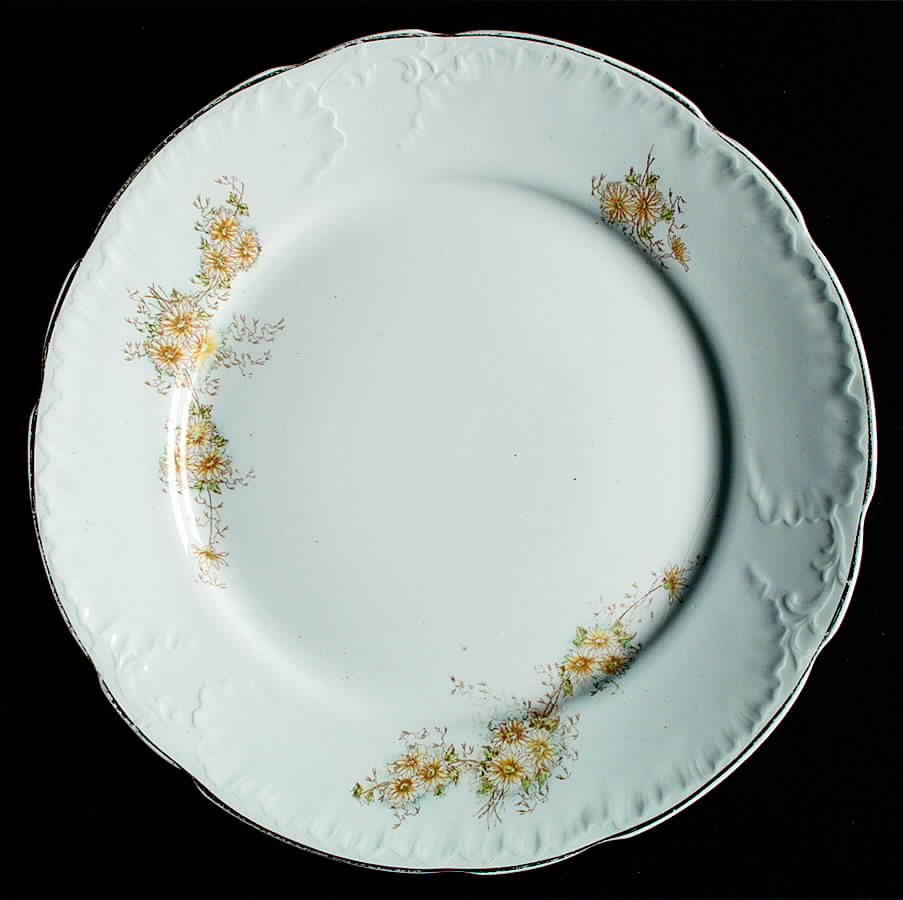 WW263 Dinner Plate by Wedgwood-1