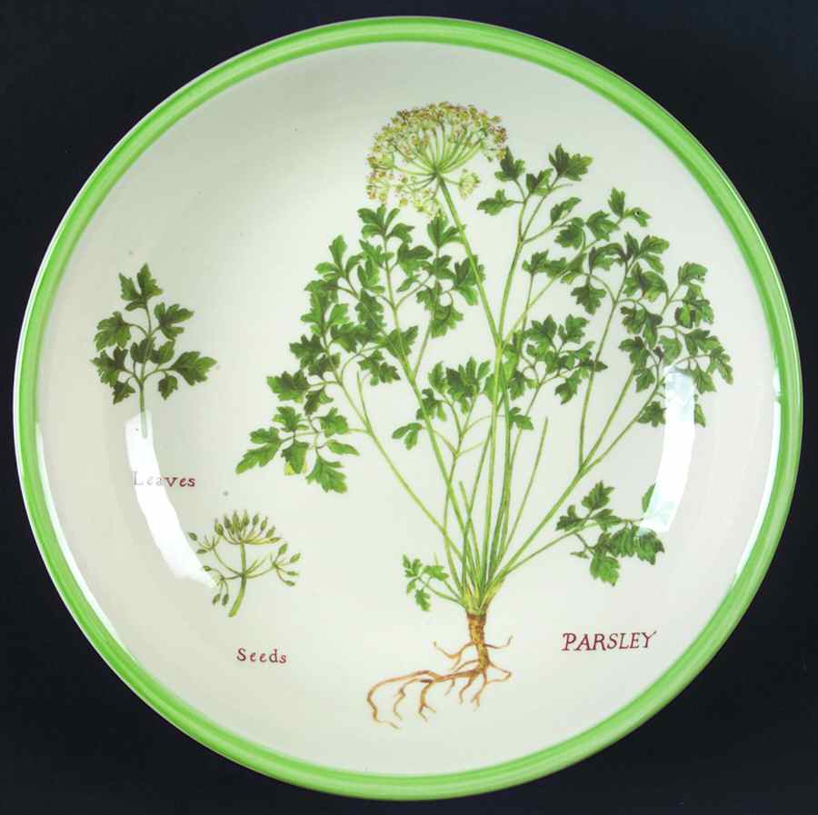 Culinary Herbs 9" Individual Pasta Bowl by Williams-Sonoma-1