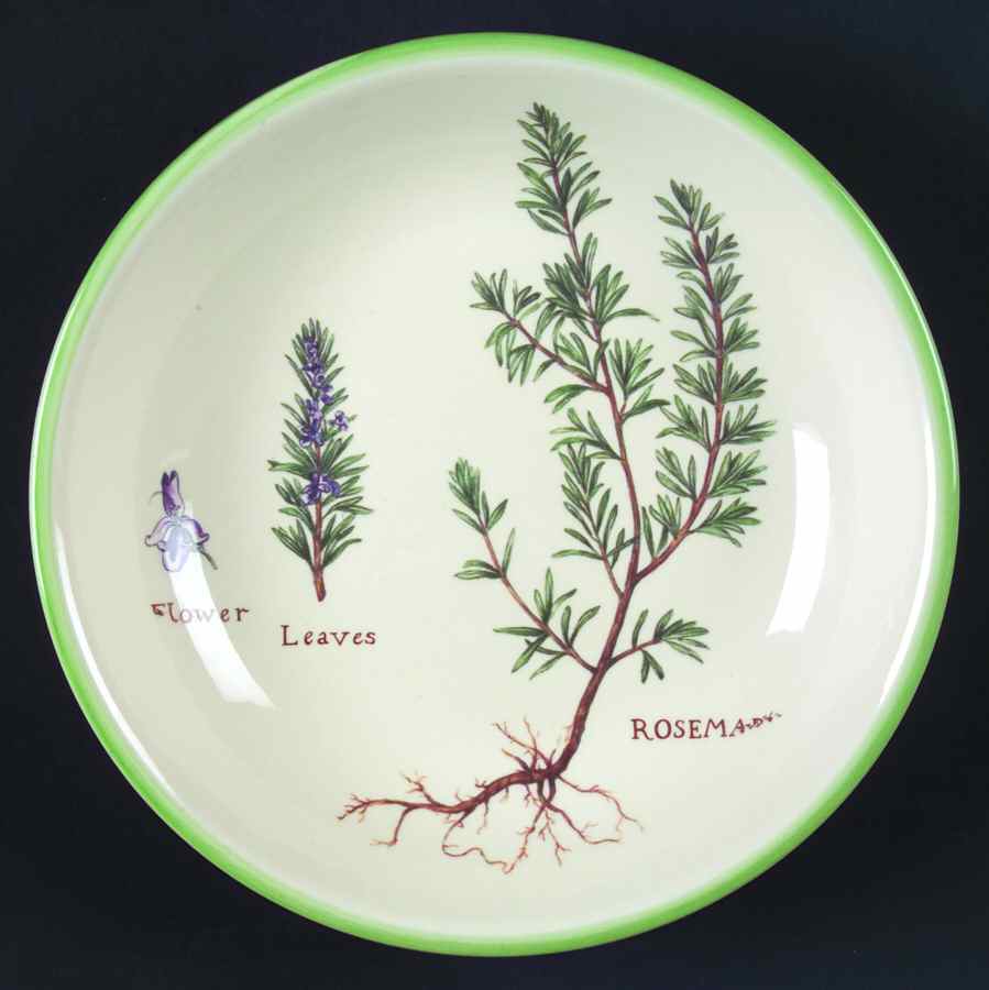 Culinary Herbs 9" Individual Pasta Bowl by Williams-Sonoma-1