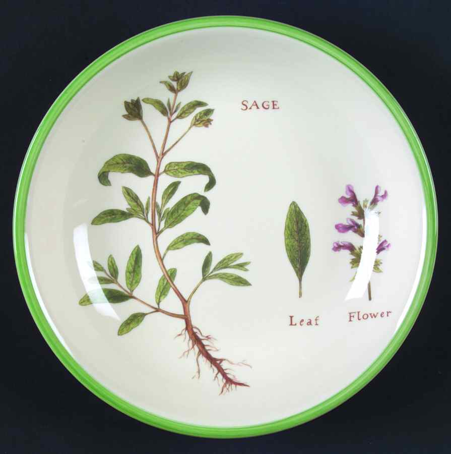 Culinary Herbs 9" Individual Pasta Bowl by Williams-Sonoma-1