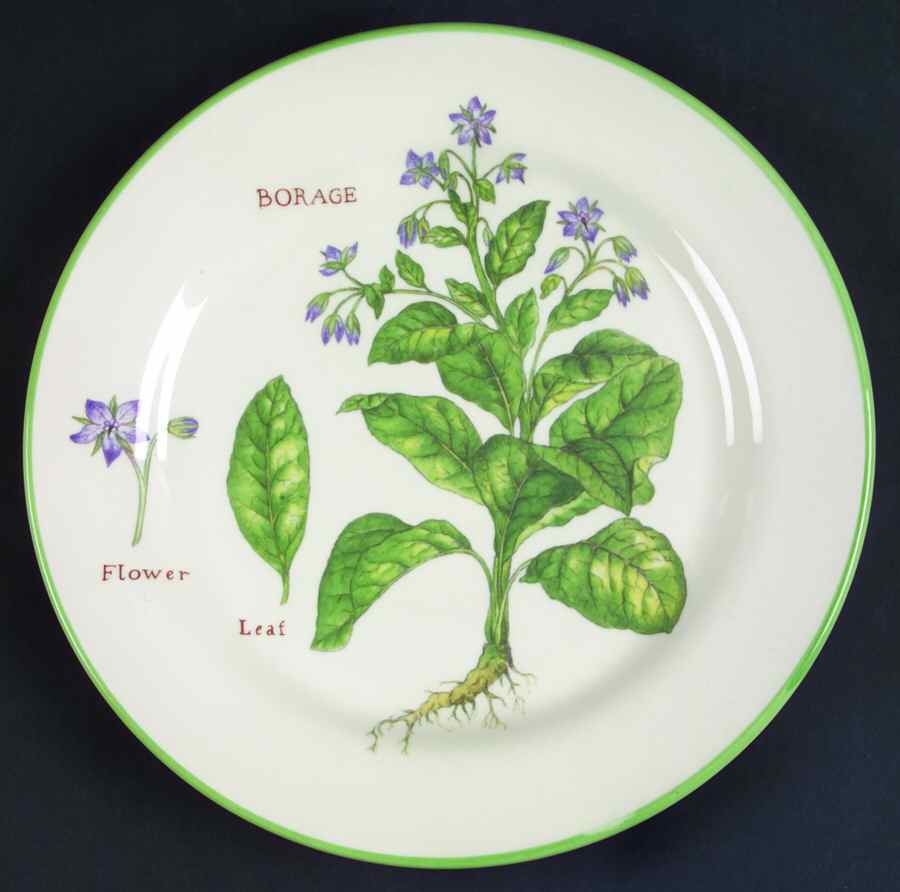 Culinary Herbs Luncheon Plate by Williams-Sonoma-1