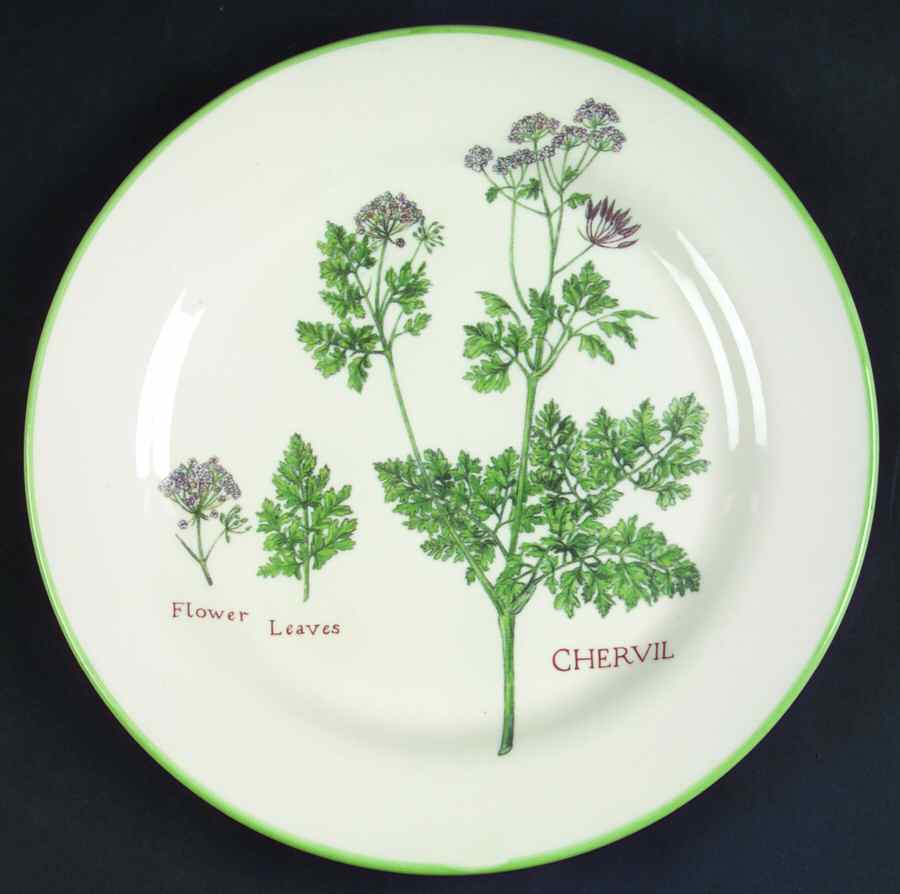 Culinary Herbs Luncheon Plate by Williams-Sonoma-1