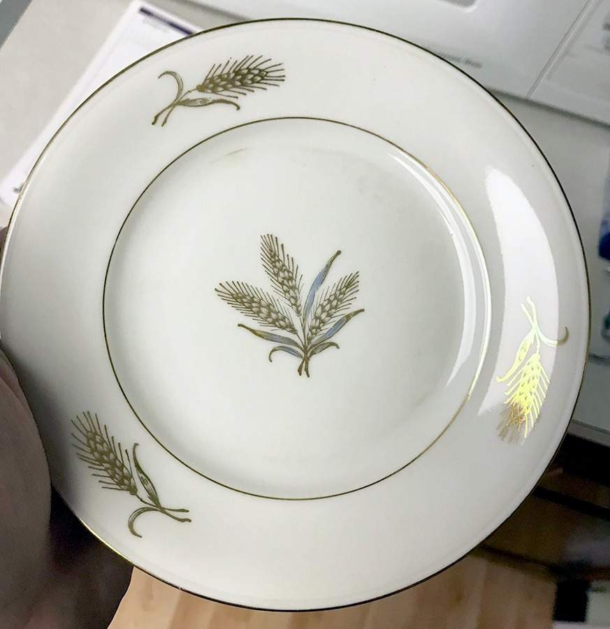 WIG639 Dinner Plate by Winterling - Bavaria-1