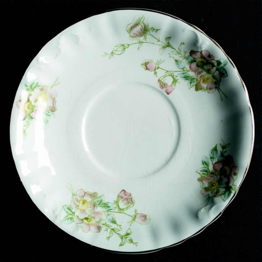 WIL19 Saucer by Arthur J Wilkinson-1