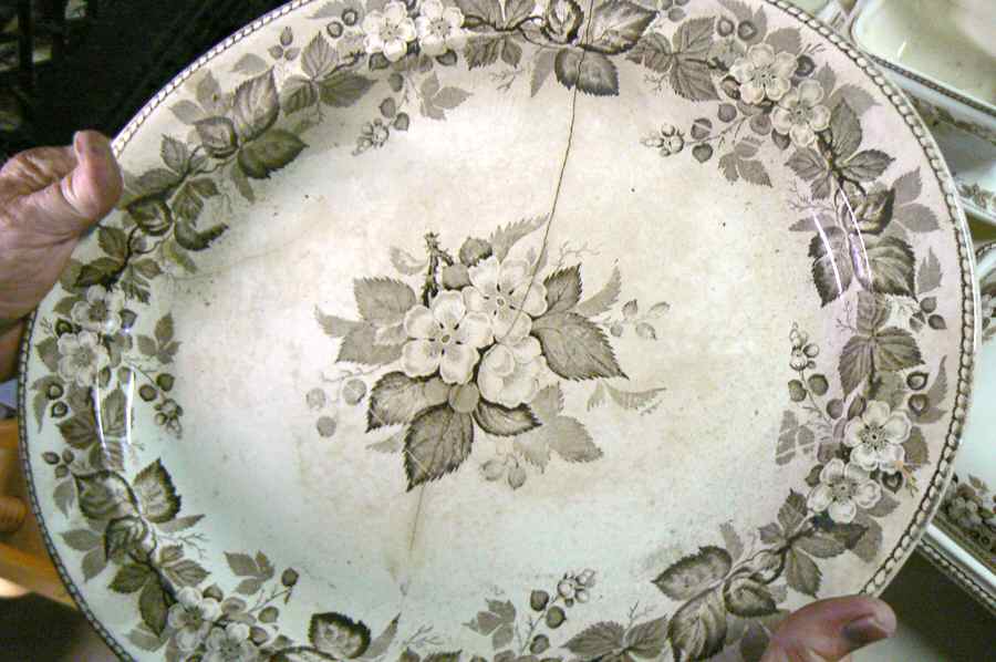 Bramble Brown (Center Design) Dinner Plate by Wedgwood-1